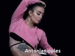 Antonianipples