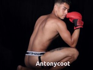 Antonycoot