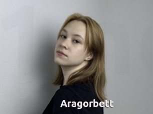 Aragorbett