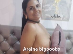 Araina_bigboobs