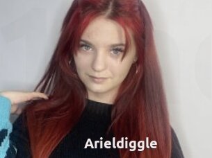 Arieldiggle