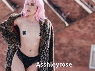 Asshleyrose