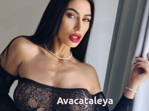 Avacataleya