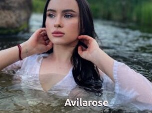 Avilarose