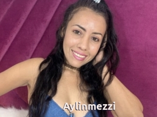 Aylinmezzi