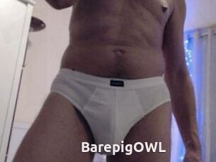 BarepigOWL