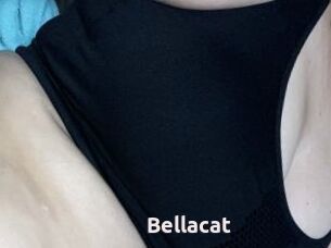 Bella_cat