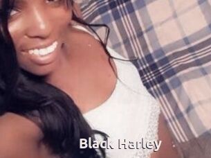 Black_Harley