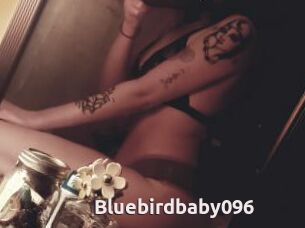 Bluebirdbaby096