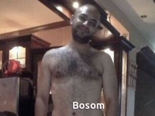 Bosom