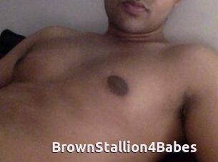 BrownStallion4Babes