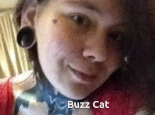 Buzz_Cat