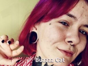 Buzzzz_Cat