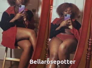 Bellarosepotter