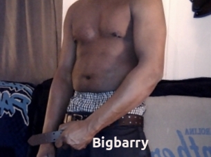 Bigbarry