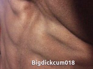 Bigdickcum018