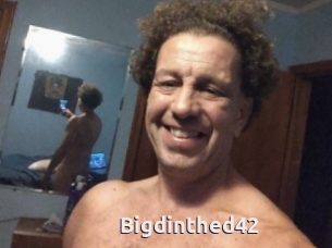 Bigdinthed42