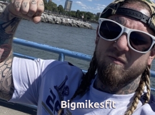 Bigmikesfit