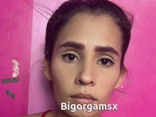 Bigorgamsx