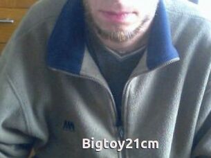 Bigtoy21cm