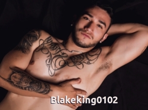 Blakeking0102