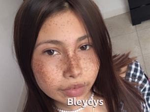 Bleydys