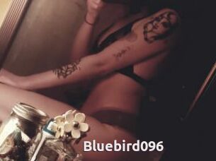 Bluebird096