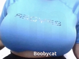 Boobycat