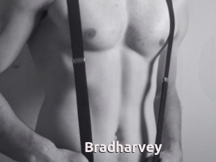 Bradharvey