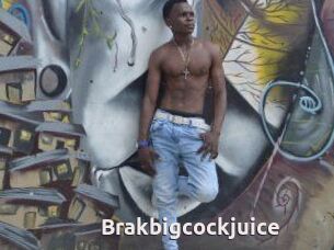 Brakbigcockjuice