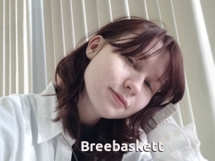 Breebaskett