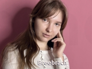 Breebrach