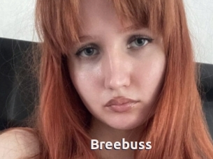 Breebuss