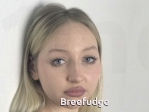 Breefudge