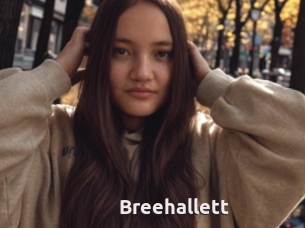 Breehallett