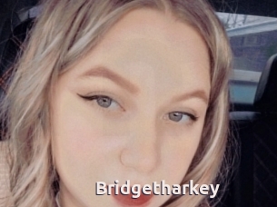 Bridgetharkey