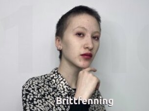 Brittfenning