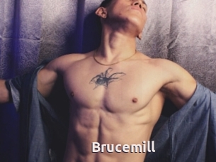 Brucemill