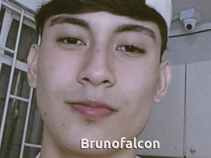 Brunofalcon