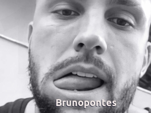 Brunopontes