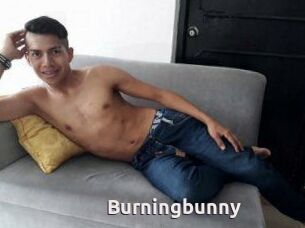 Burningbunny