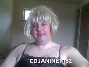 CDJANINE1182