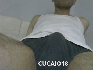 CUCAIO18