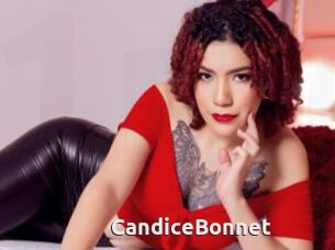 CandiceBonnet