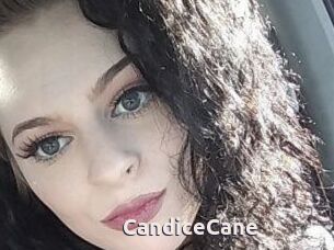 Candice_Cane