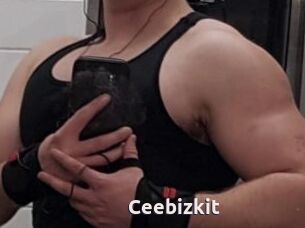 Ceebizkit