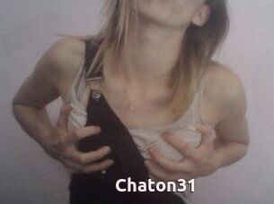 Chaton31