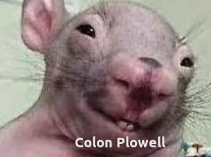 Colon_Plowell