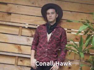 Conall_Hawk