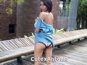 CutexAntonia